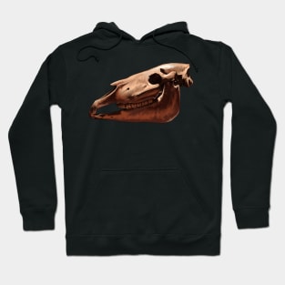 Ice Age Wild Horse Skull Hoodie